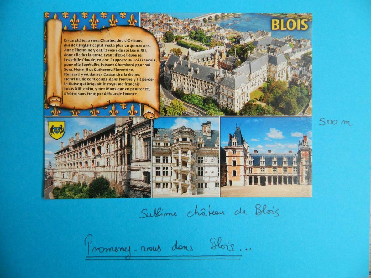 Ferienwohnung Les Lumieres De La Loire Blois Exterior foto